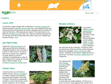 Tablet Screenshot of floridata.com